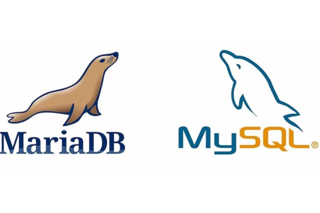 بررسی نسخه پایگاه‌داده MariaDB یا MySQL